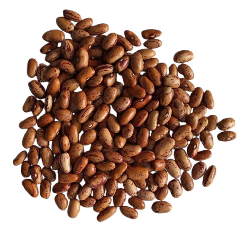Ethiopian_Light_Speckled_Kidney_Beans