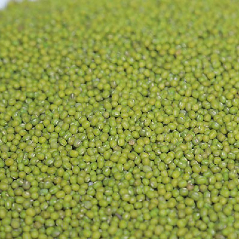 Green-Mung-Bean